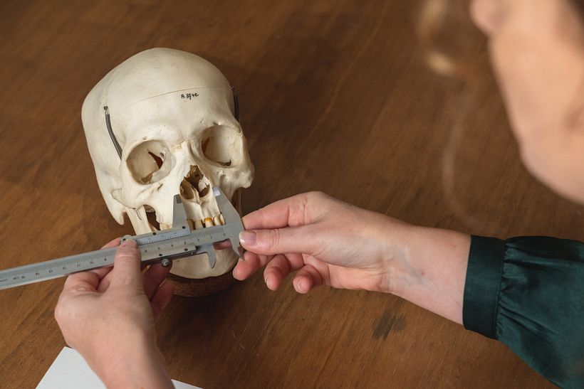 Human Skull - Final Project "Intro to Anatomy Drawing with Graphite Pencil" 1