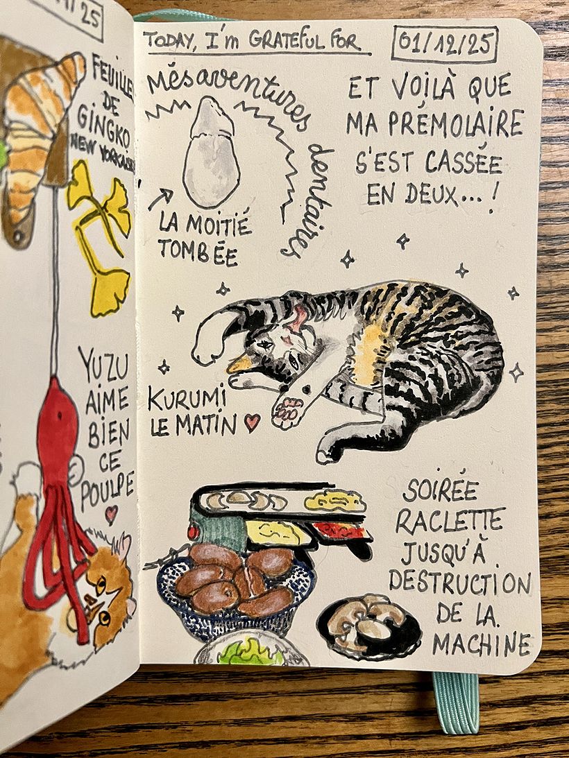 Danksagungsheft: Dezember 2025 1