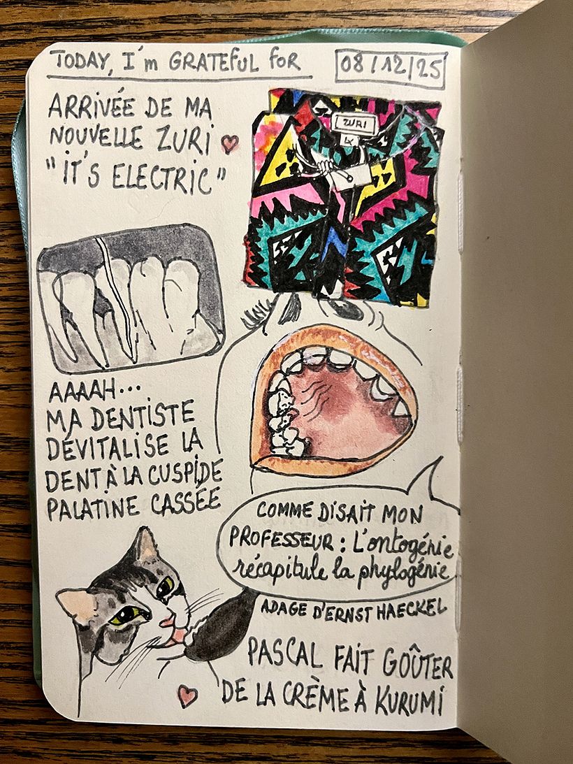 Danksagungsheft: Dezember 2025 1