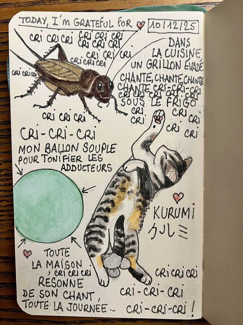 Danksagungsheft: Dezember 2025 1