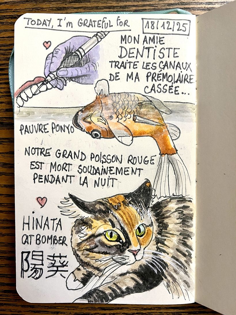 Danksagungsheft: Dezember 2025 1