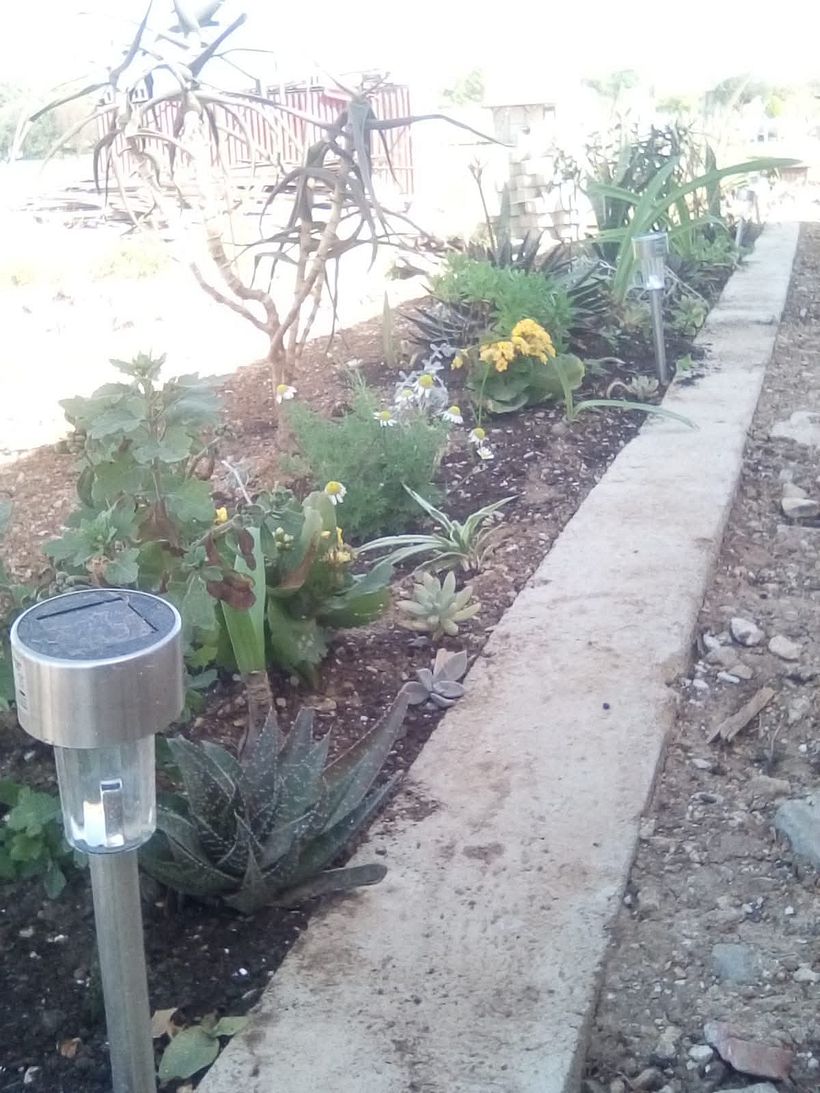 From Construction Waste Dump to Cozy Home 1