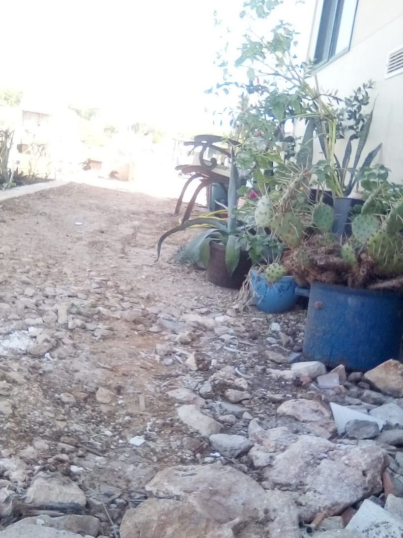 From Construction Waste Dump to Cozy Home 2