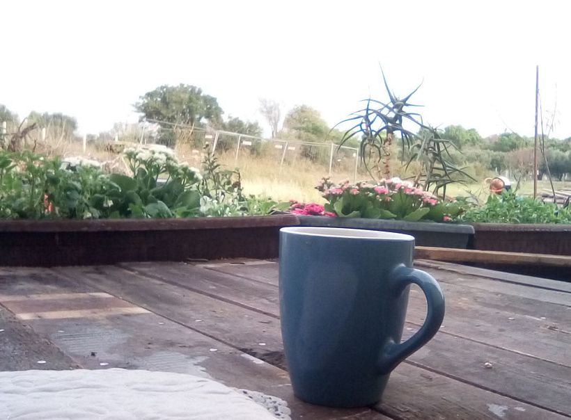 From Construction Waste Dump to Cozy Home 3