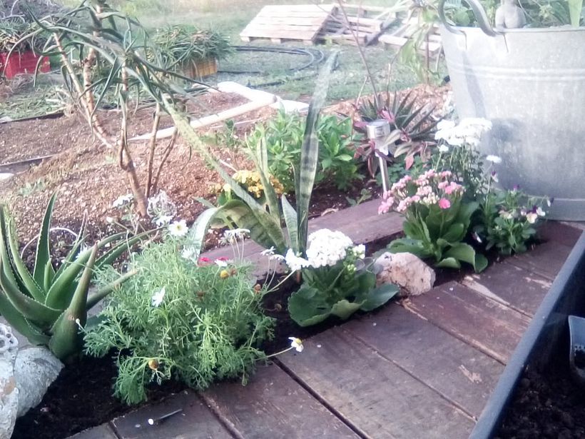 From Construction Waste Dump to Cozy Home 5