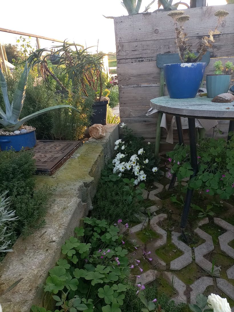 From Construction Waste Dump to Cozy Home 4