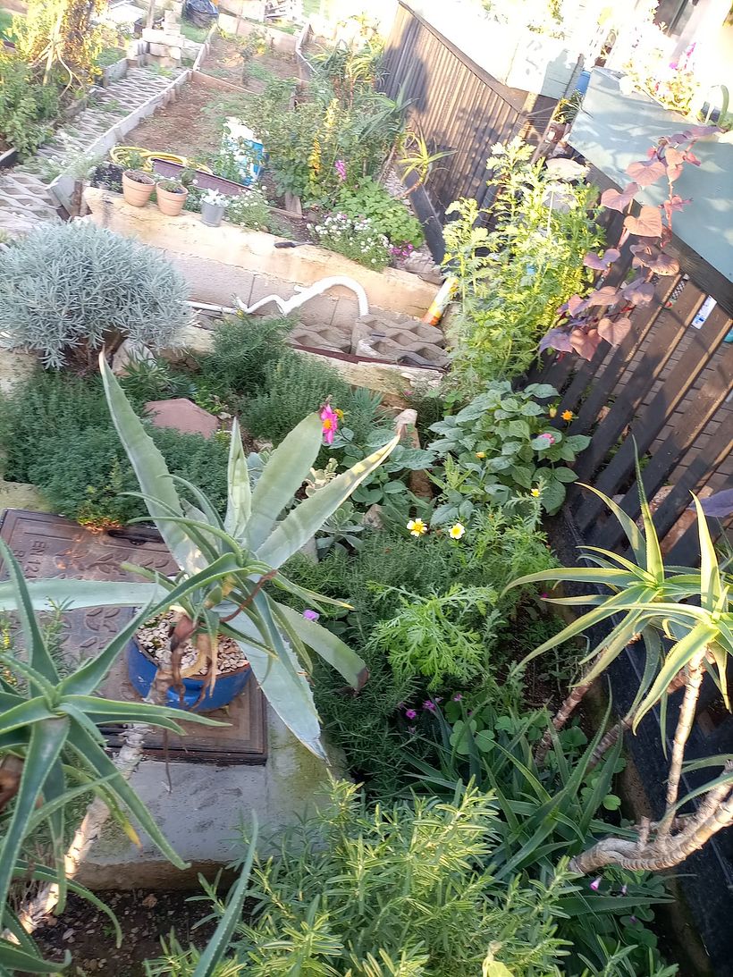 From Construction Waste Dump to Cozy Home 7