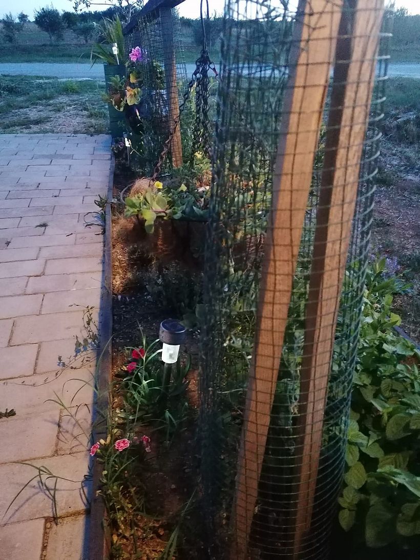 From Construction Waste Dump to Cozy Home 8