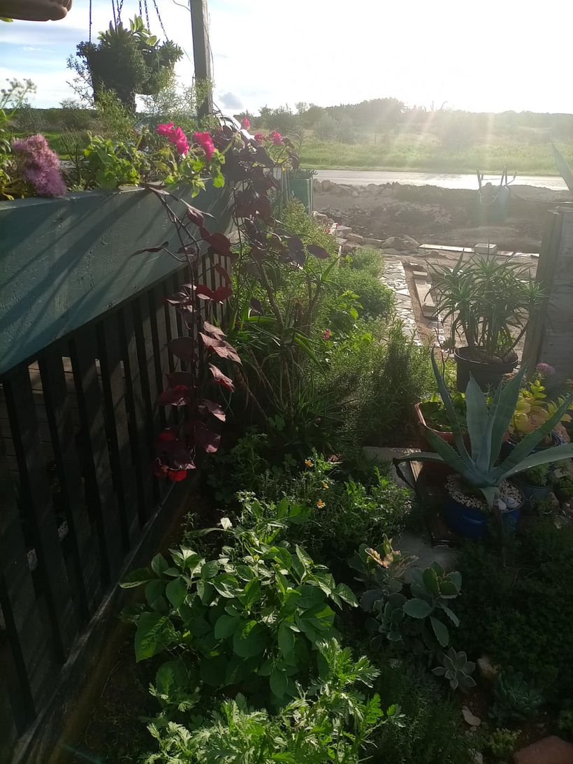 From Construction Waste Dump to Cozy Home 12