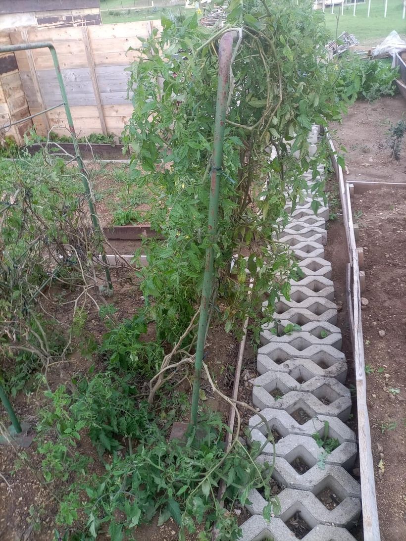 From Construction Waste Dump to Cozy Home 6