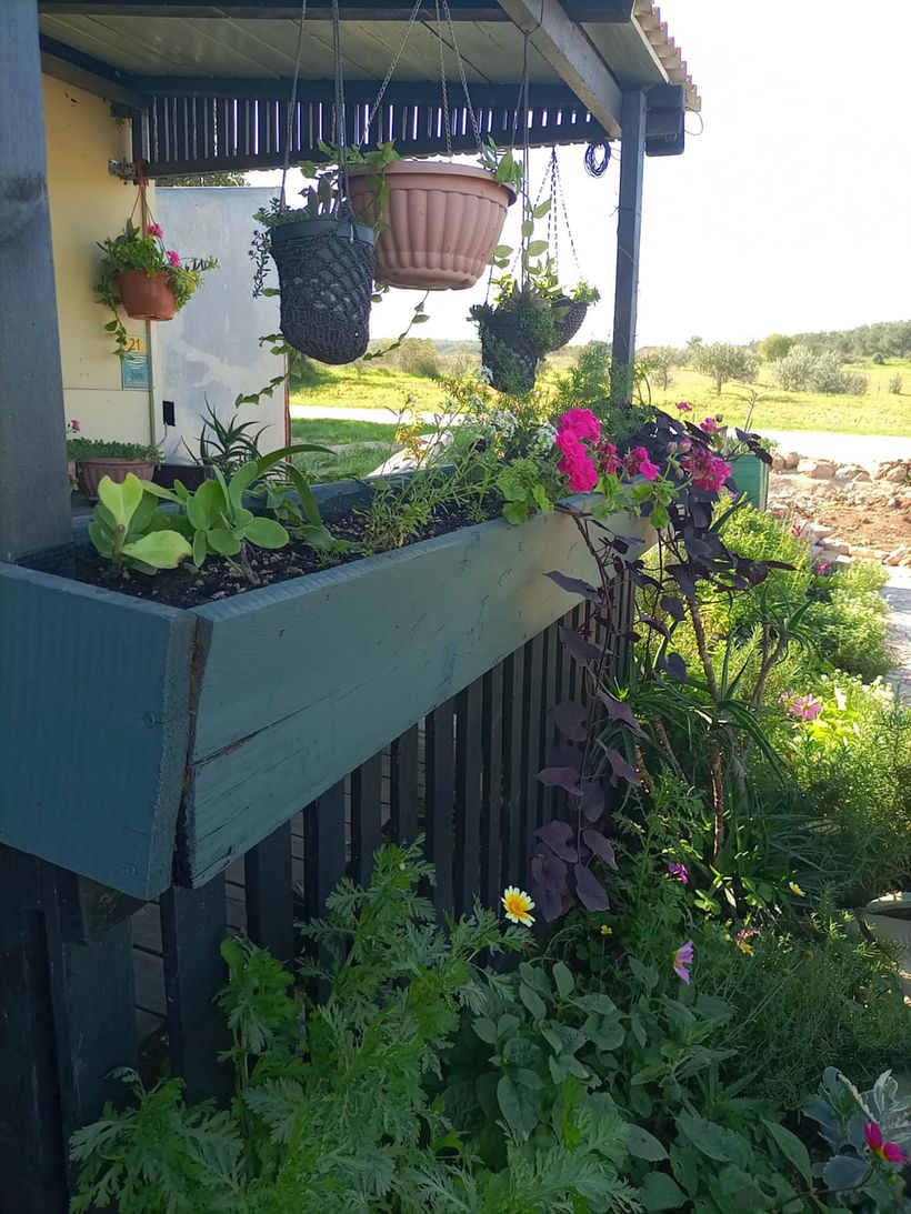 From Construction Waste Dump to Cozy Home 7