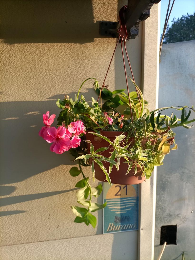 From Construction Waste Dump to Cozy Home 8