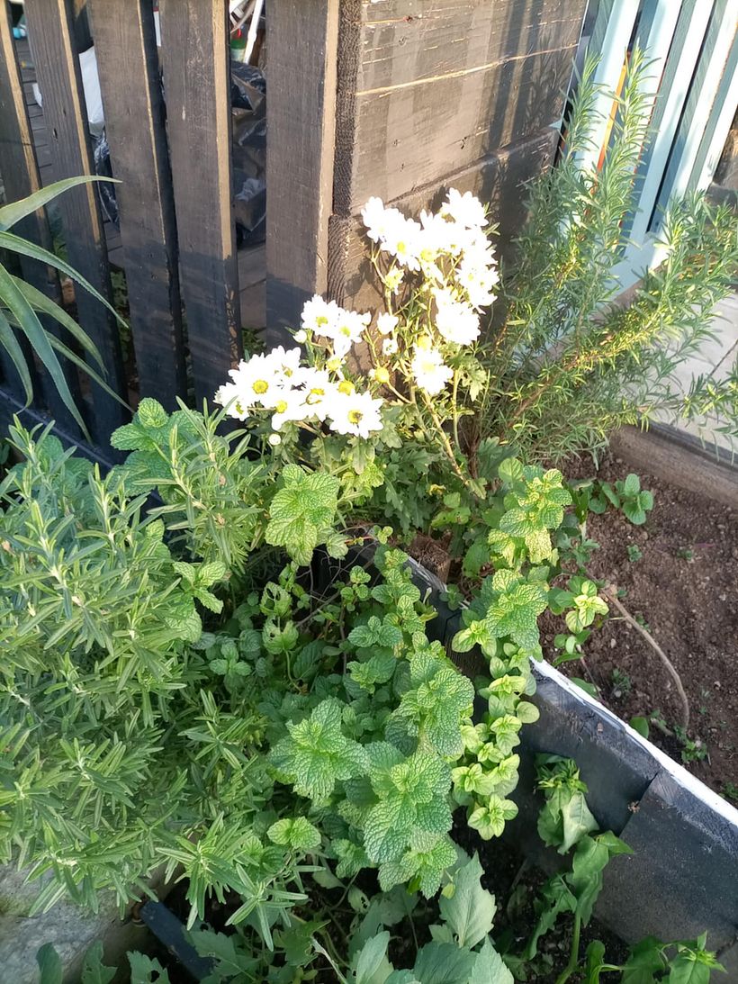 From Construction Waste Dump to Cozy Home 12