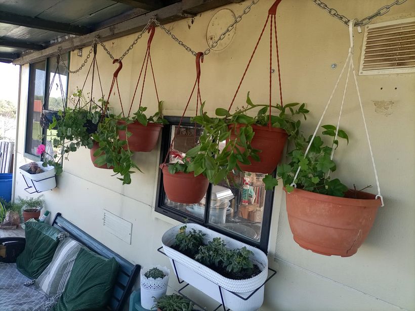 From Construction Waste Dump to Cozy Home 13