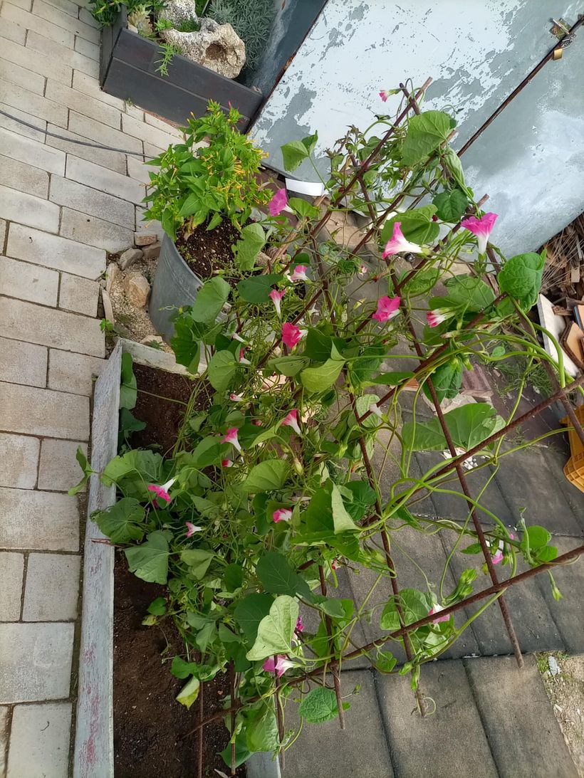 From Construction Waste Dump to Cozy Home 14