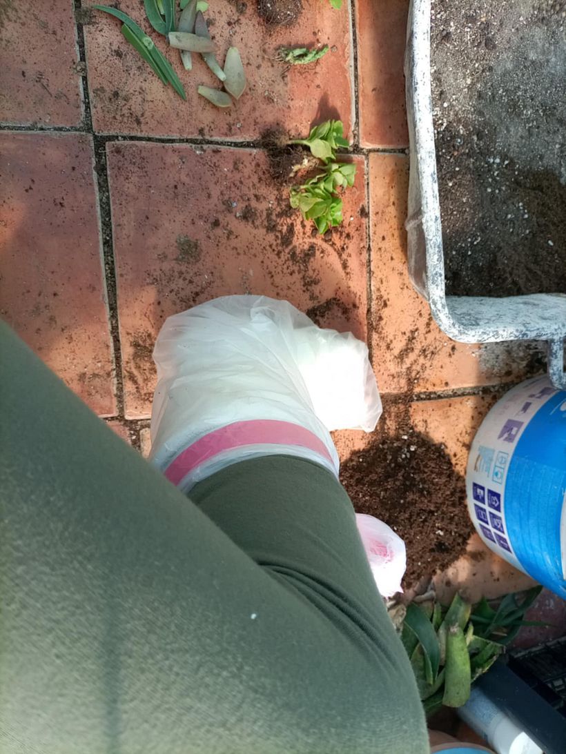 From Construction Waste Dump to Cozy Home 5