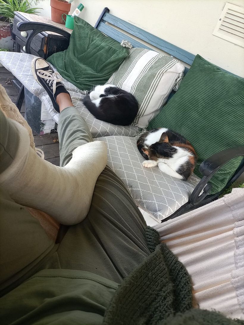 From Construction Waste Dump to Cozy Home 6