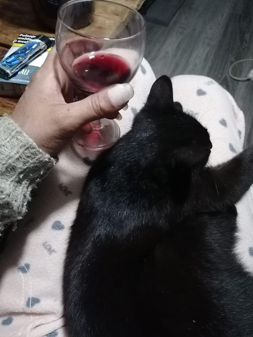 From Construction Waste Dump to Cozy Home 9