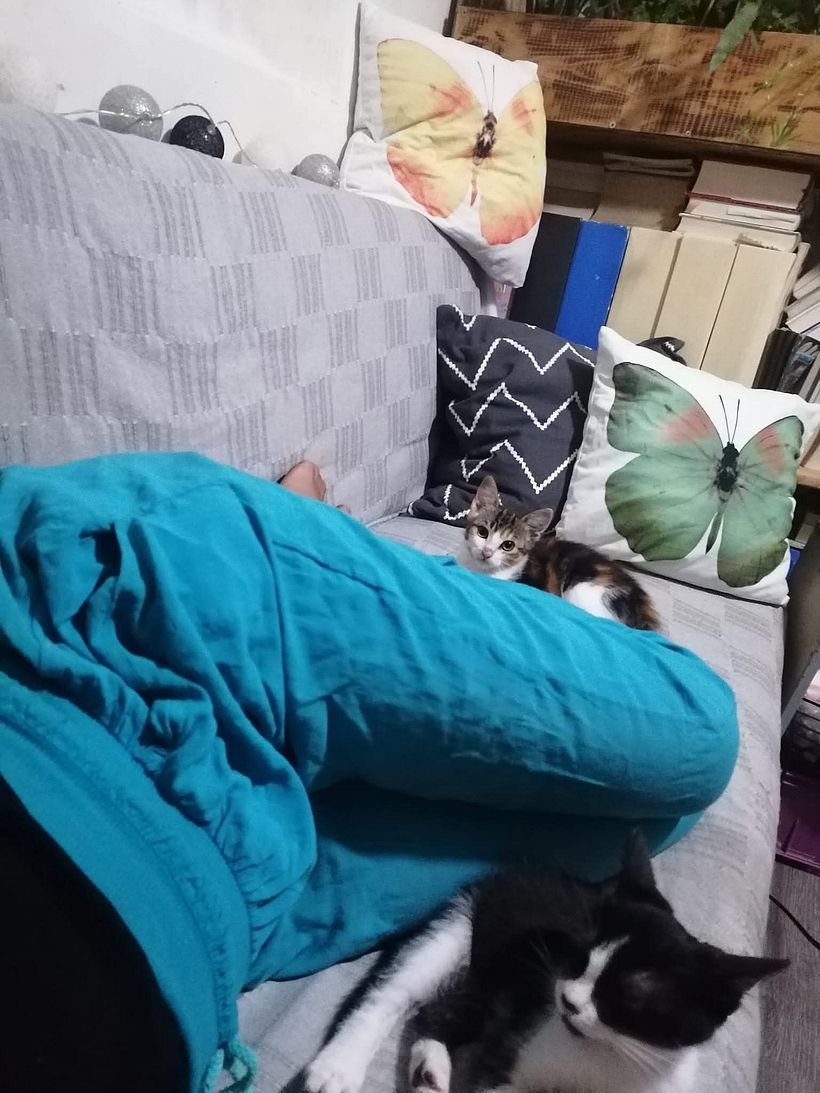 From Construction Waste Dump to Cozy Home 11