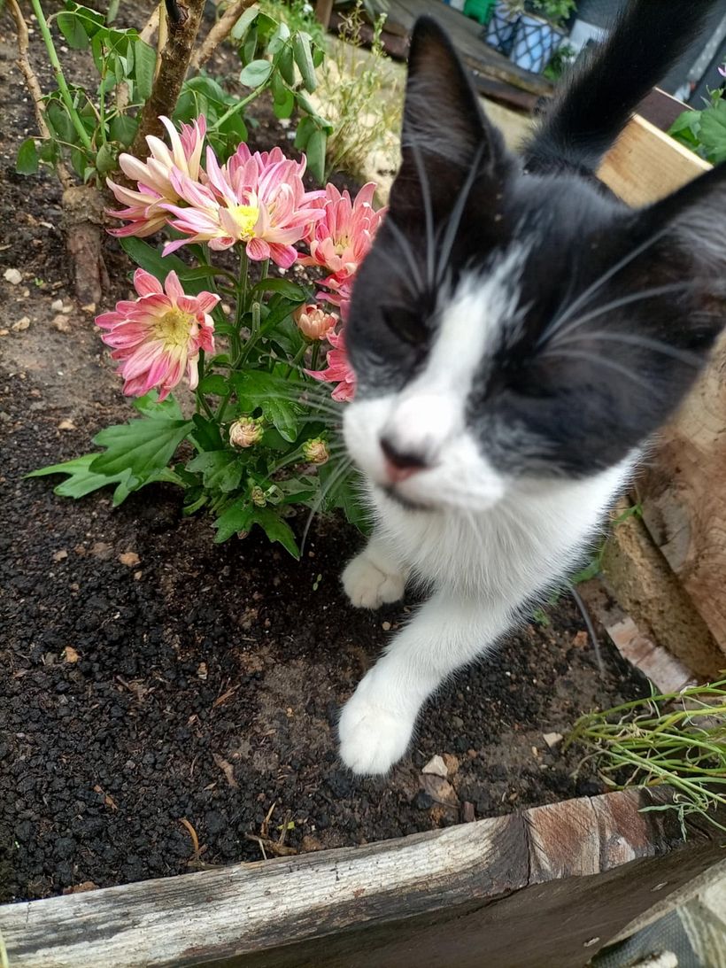 From Construction Waste Dump to Cozy Home 14