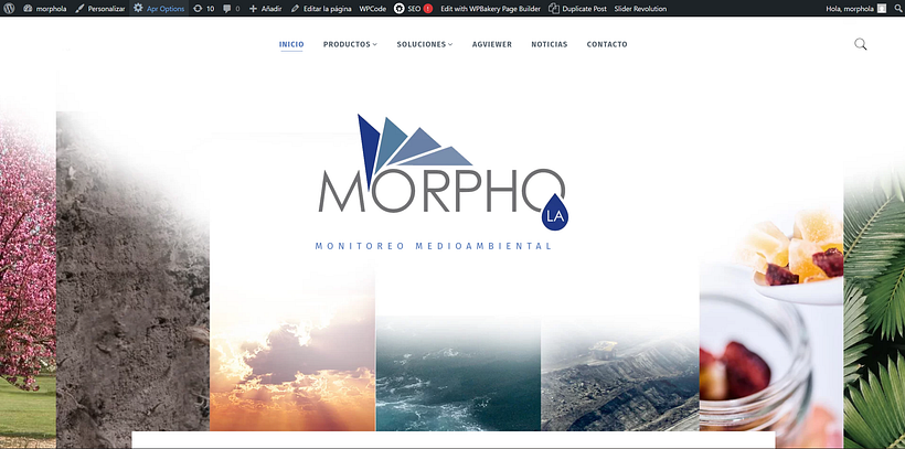 Diseño web en Wordpress 1