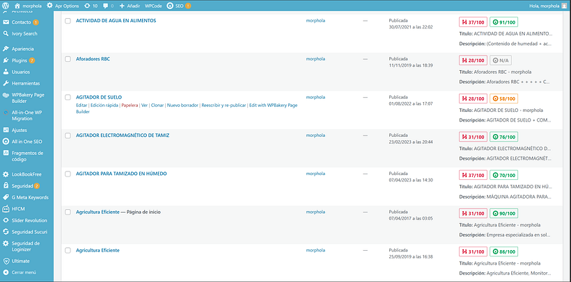 Diseño web en Wordpress 1