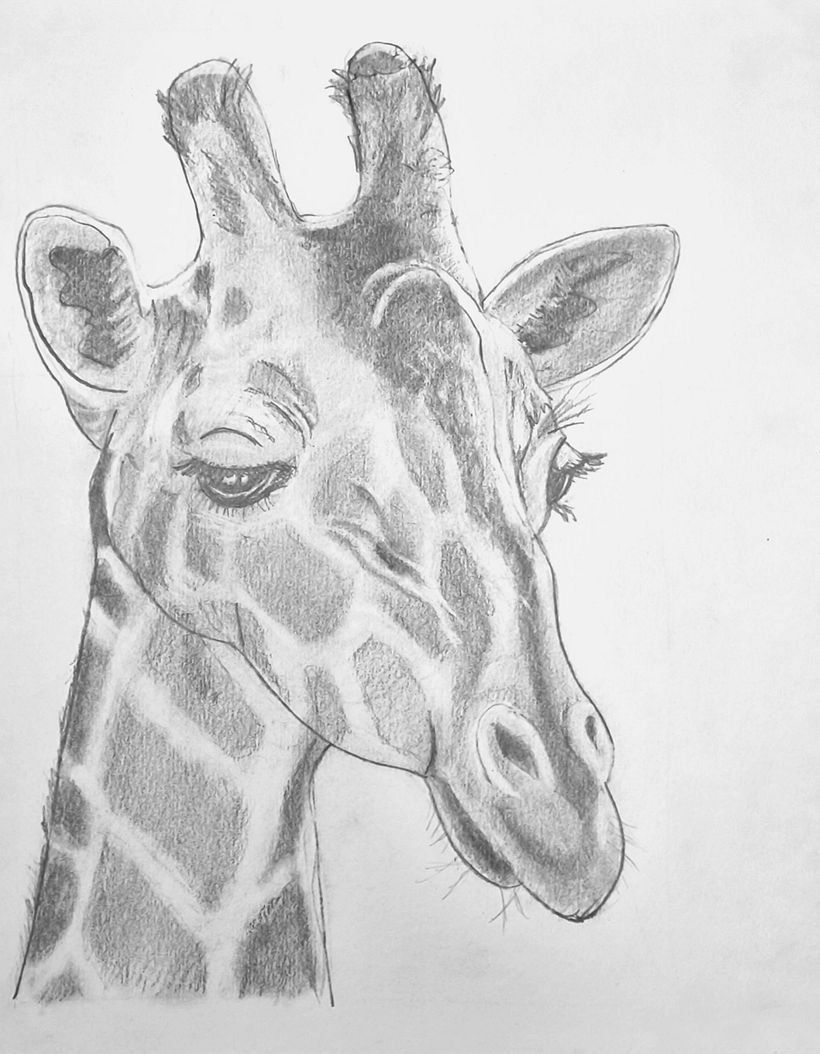 Dreamy Giraffe 2