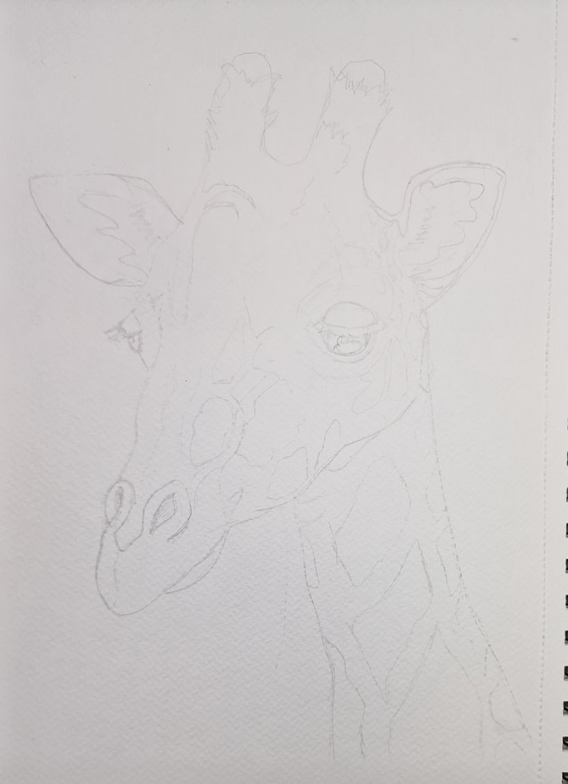 Dreamy Giraffe 1