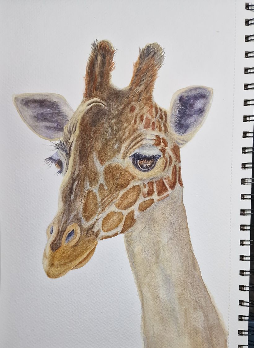 Dreamy Giraffe 1