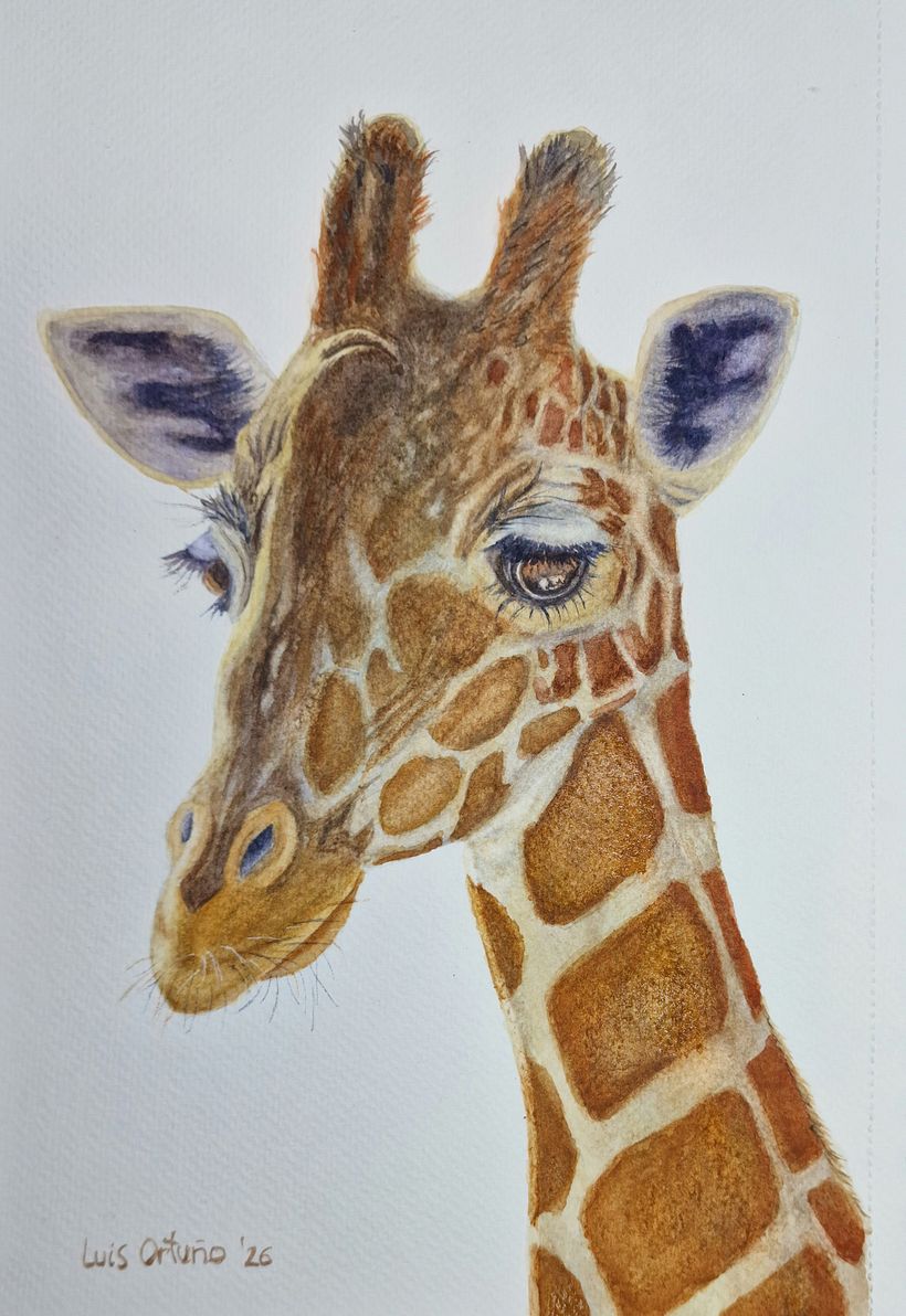 Dreamy Giraffe 1