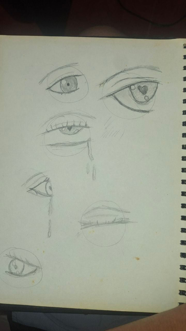 Mi primer proyecto final 1