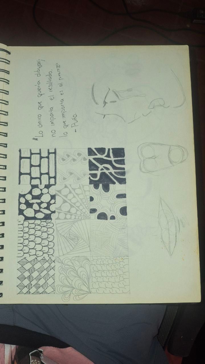 Mi primer proyecto final 10