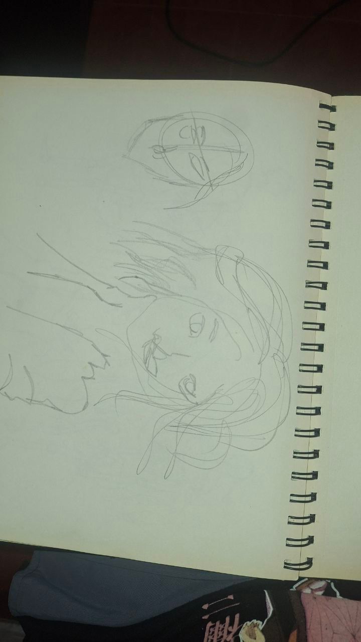 Mi primer proyecto final 11