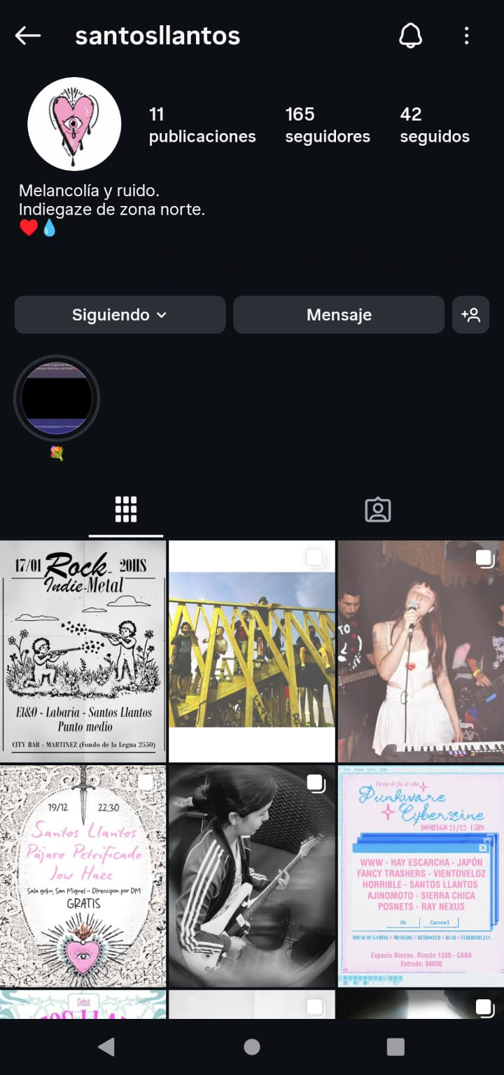 Proyecto Santos Llantos 1