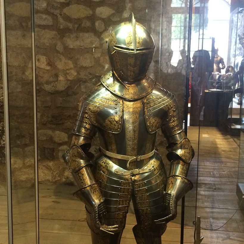 ELVEN DRAGON RIDER 5