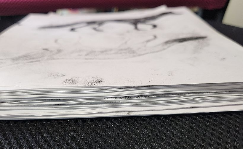 Animal illustrations 2