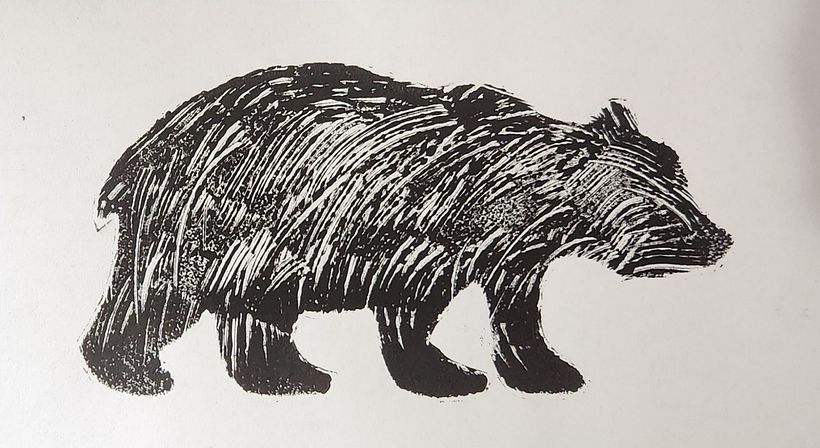 Animal illustrations 1