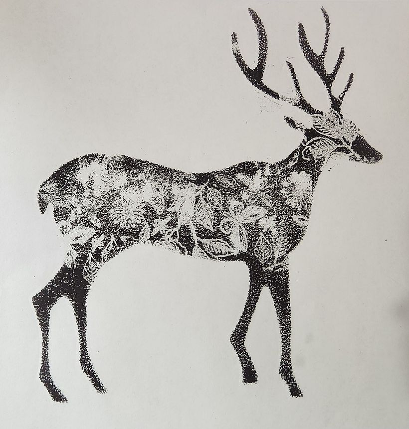 Animal illustrations 3