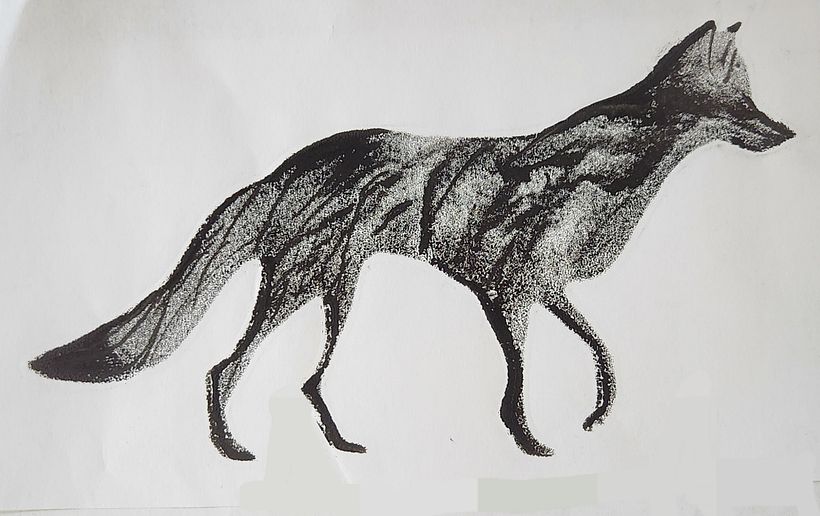 Animal illustrations 4