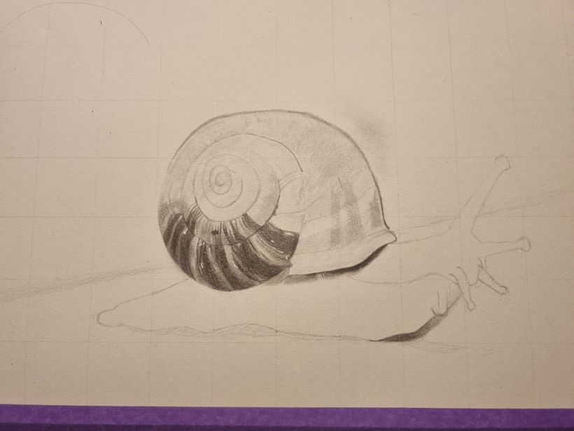 Little snail 1