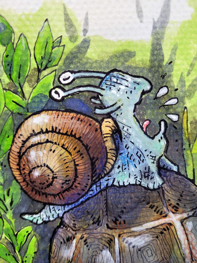 Siput dan kura-kura 1