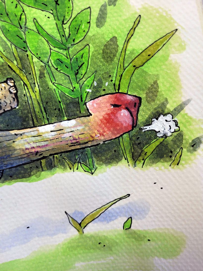 Siput dan kura-kura 2