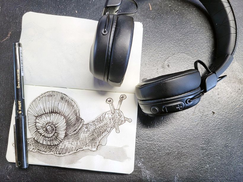 Siput dan kura-kura 1