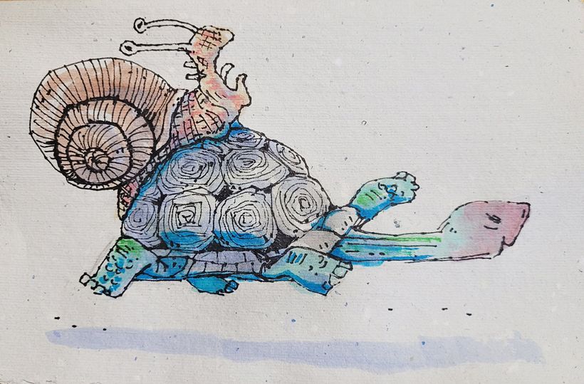 Siput dan kura-kura 1