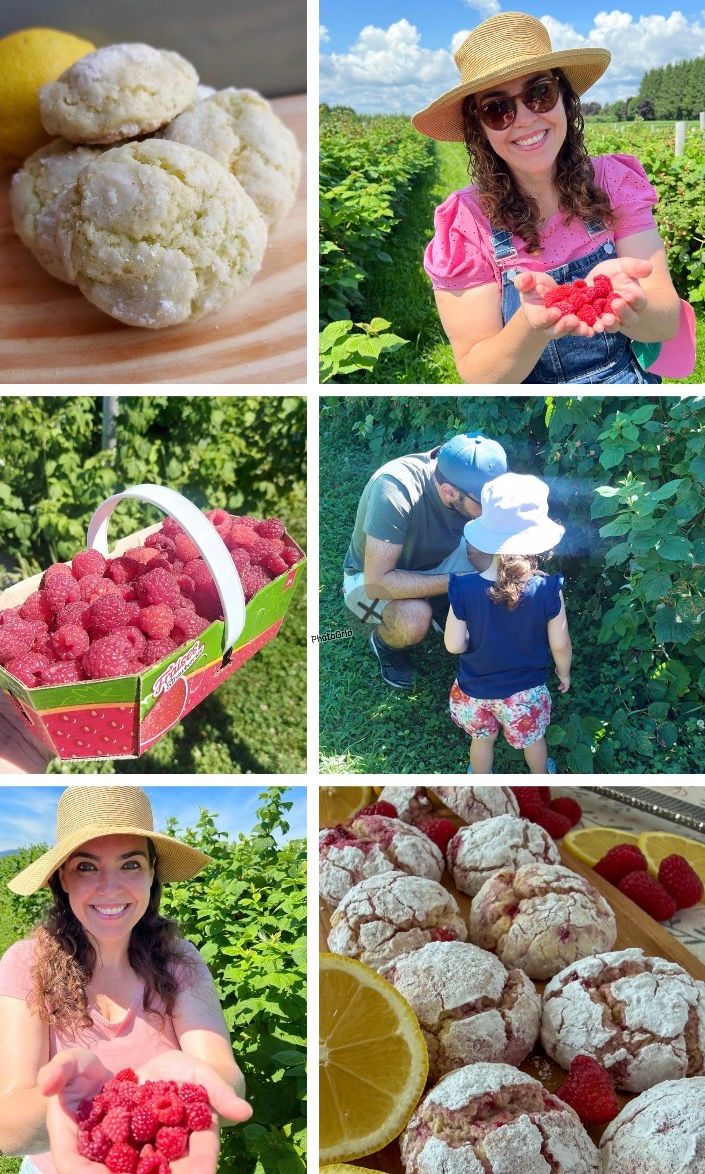 Pink Lemonade Cookie ( a recipe made of memories, places and new beginnings) 1