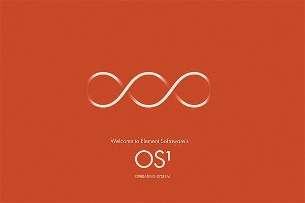 ELA: A Presença da Ausência 4