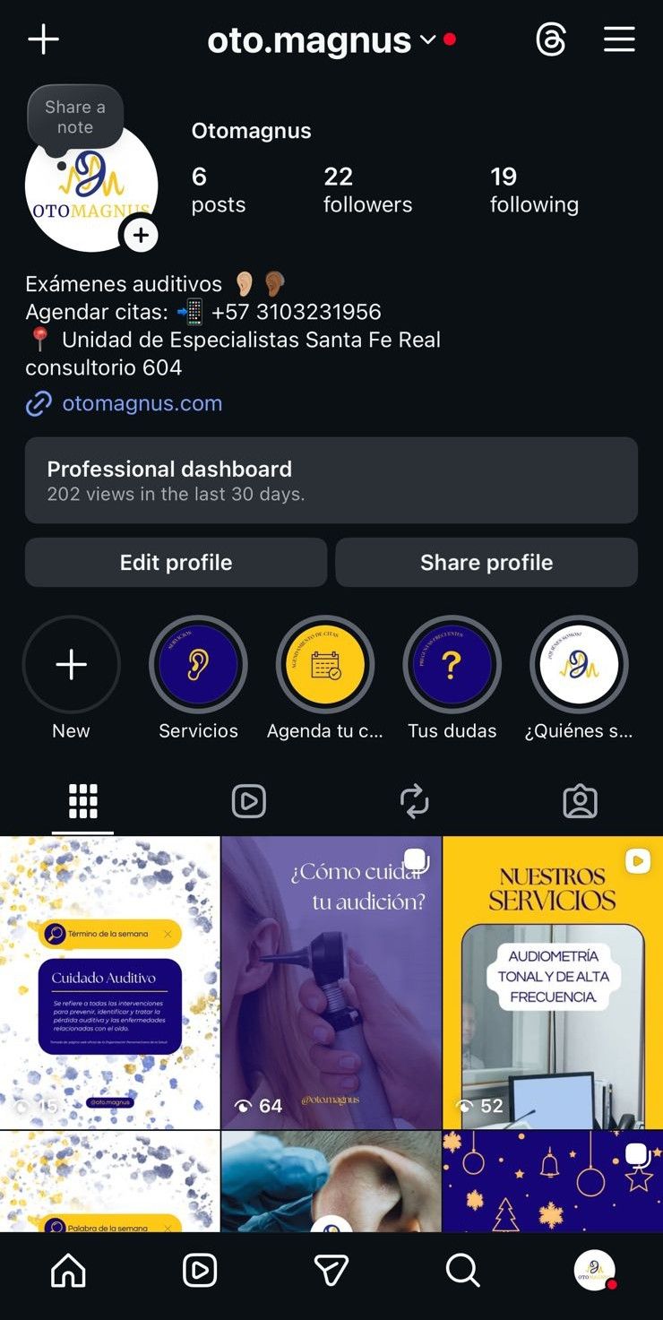 Diseño del Instagram de mi marca 2