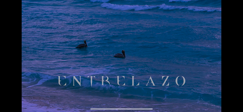 Entrelazo 1