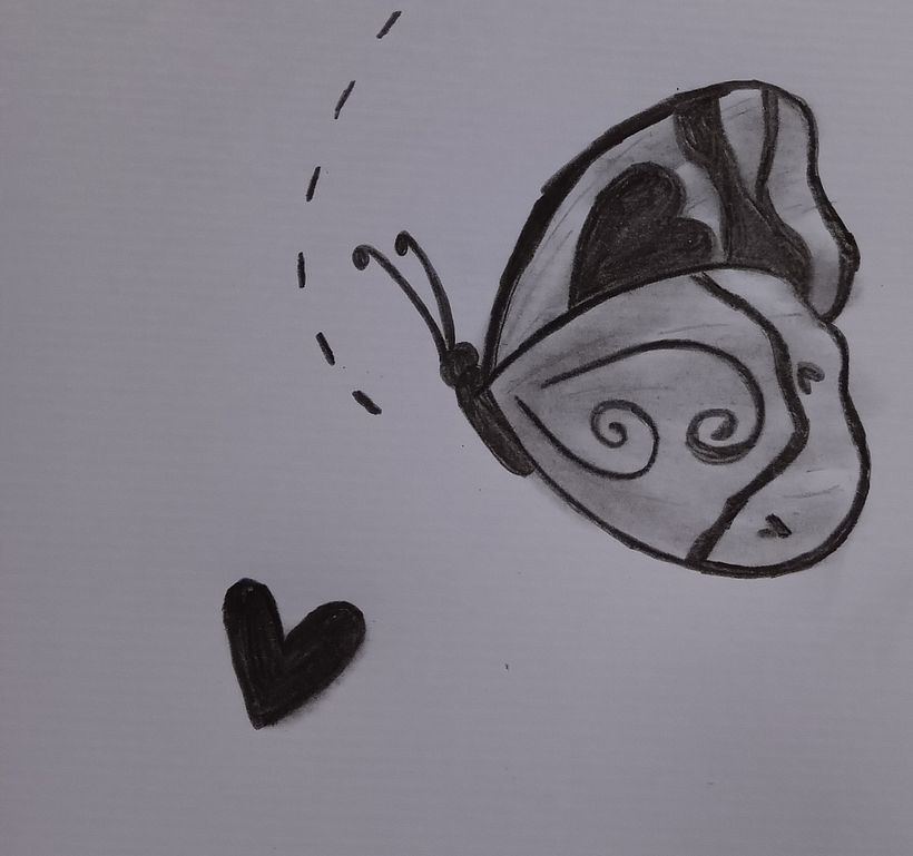 Borboletas coração  1