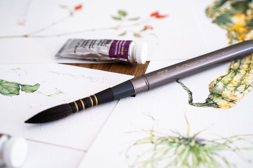 Minestrone Vegetables: Creating a Leporello 1